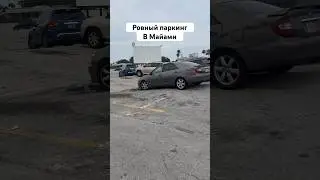 Боги дорог #майами #автосша #жизньвмайами #жизньвсша #сшасегодня #новости