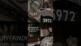Гриффиндор. Эдит. Эстетика 🦁🖤