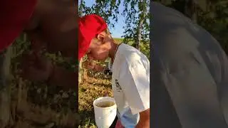 Я в шоке, он чуть не сбежал! #missionimpossible #soundtrack #nostalgia #рыбалка #fishing #рыбак #топ