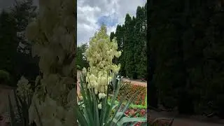 Природа.Кисловодск