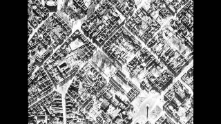 Rhizome - Die Ruinen von Darmstadt