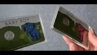 2024 Somalia Elephant 1/10 oz Silver Baby Gift Coin
