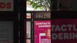 Listen to her order 😭🤣 Sub for squirrels and birds!!!!