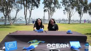 Whale Trivia Episode 11 | The Shore Buddies Show