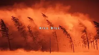 $UICIDEBOY$ - KILL BILL(Lyric Video)