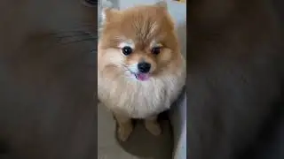 Это факт