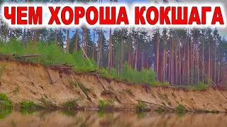 Эту красоту не забудешь! Сплав на байдарке по реке Большая Кокшага. Водный поход до моста у Кокшамар