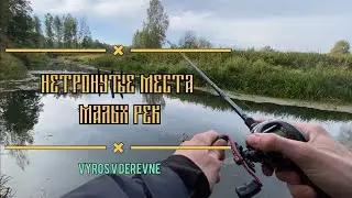 Рыбалка в ДЕБРЯХ ЛЕСНОЙ РЕЧКИ, осенний ТВИЧ.