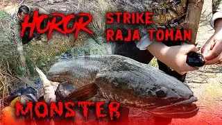 Najur Ikan Gabus Babon Di spot Angker