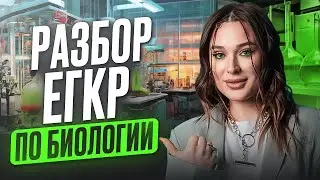 ЕГЭ по биологии в 2025 будет ВЫГЛЯДЕТЬ ТАК? / К чему готовиться на ЕГЭ?/ Решаем ПРОБНИК ФИПИ