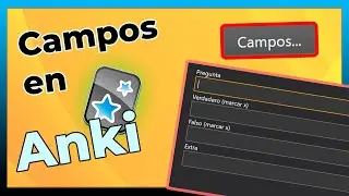 CÓMO funcionan los CAMPOS en Anki