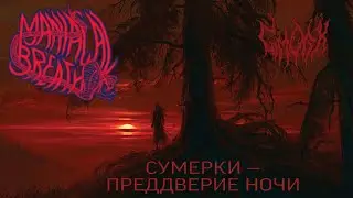 СУМЕРКИ — ПРЕДДВЕРИЕ НОЧИ (One take, Two voices, Phone mic)