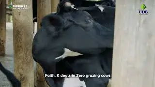 UDB Nafunamu - Faith K Mixed Farm - Masaka District