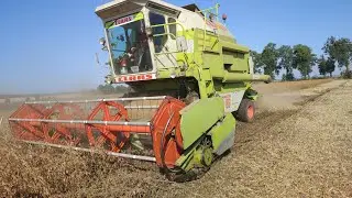 ПРОДОВЖУЄМО ЗБИРАТИ СОЮ. CLAAS DOMINATOR 86, MAЗ, МТЗ 82.1-ПТС6