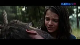 Смерть Логана | Логан