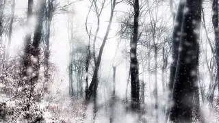 Winter Tale