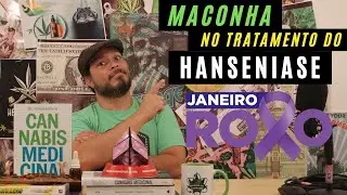 Veja como a cannabis pode ajudar no tratamento da Hanseníase