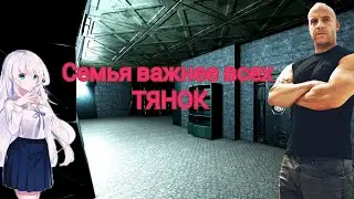 Семья важнее всех тянок (scpsl)