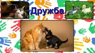 Дружба крепкая