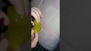 Recensimento di slime macaron