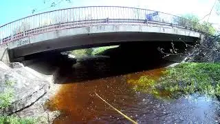 Поисковый Магнит дарит удивительные находки