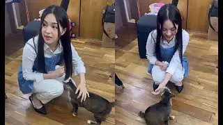 ECA AURA ELUS KUCING DAN CATOKIN RAMBUT EBEL COBRA BIKIN NGAKAK