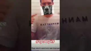 #лица #животные #жиза