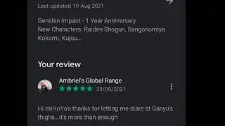 Players Funny Reviews on Genshin impact