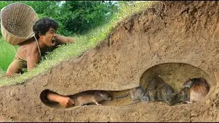 Build holes to catch mouse ,mice Riding a mouse in a Tunnel