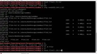 sFTP and SSH Protocols in OpenSUSE and Debian Linux