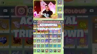 ACCIDENTAL Triple Crown 