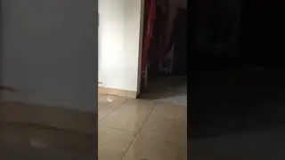 Dirumah sepi