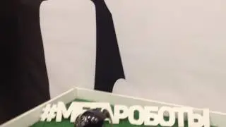 Робот пёс