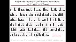 Understanding the Evolution of Melanoma Epigenome - Kadir Akdemir