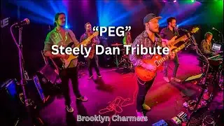 Brooklyn Charmers - “Peg” (Steely Dan Tribute) @ Martyrs Chicago