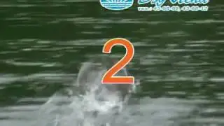 У8руу