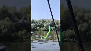 гладиатор 9,9 pro против течения на Волге