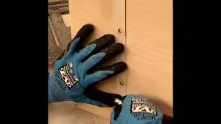 Building A Kestrel Nest Box With Brandie