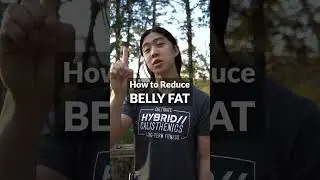 How to Lose Belly Fat