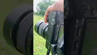 Sony A6400 50mm lens photography test 