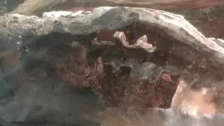 Ответ на вопрос куда я пропал