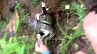 Спасение кота от удава или новый день рождения ))