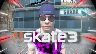 the life of a SKATE 3 player in 2024….
