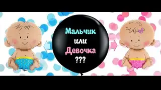 УЗИ. ВТОРОЙ СКРИНИНГ.ГЕНДЕР ПАТИ. КРОВЬ ОТ ПЕРВОГО СКРИНИНГА.