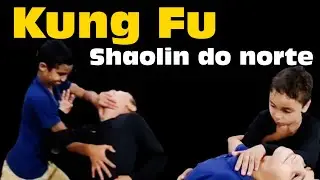 Kung fu SHAOLIN DO NORTE / Garra de águia - APLICAÇÕES