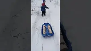Маленький помощник #shorts