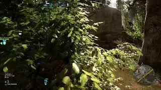 Border glitch and lag switch