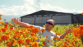 Tihar Vlog 2024 | Deusire