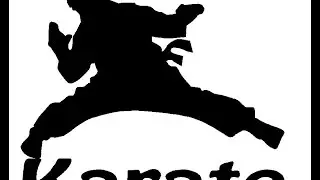 Karate/boxing challenge