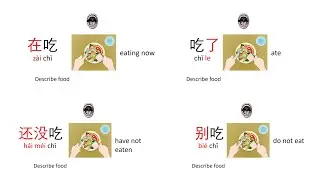 Learn 20 must know Chinese/Mandarin phrases Verb Grammar Daily Conversations Beginners in 5 minutes